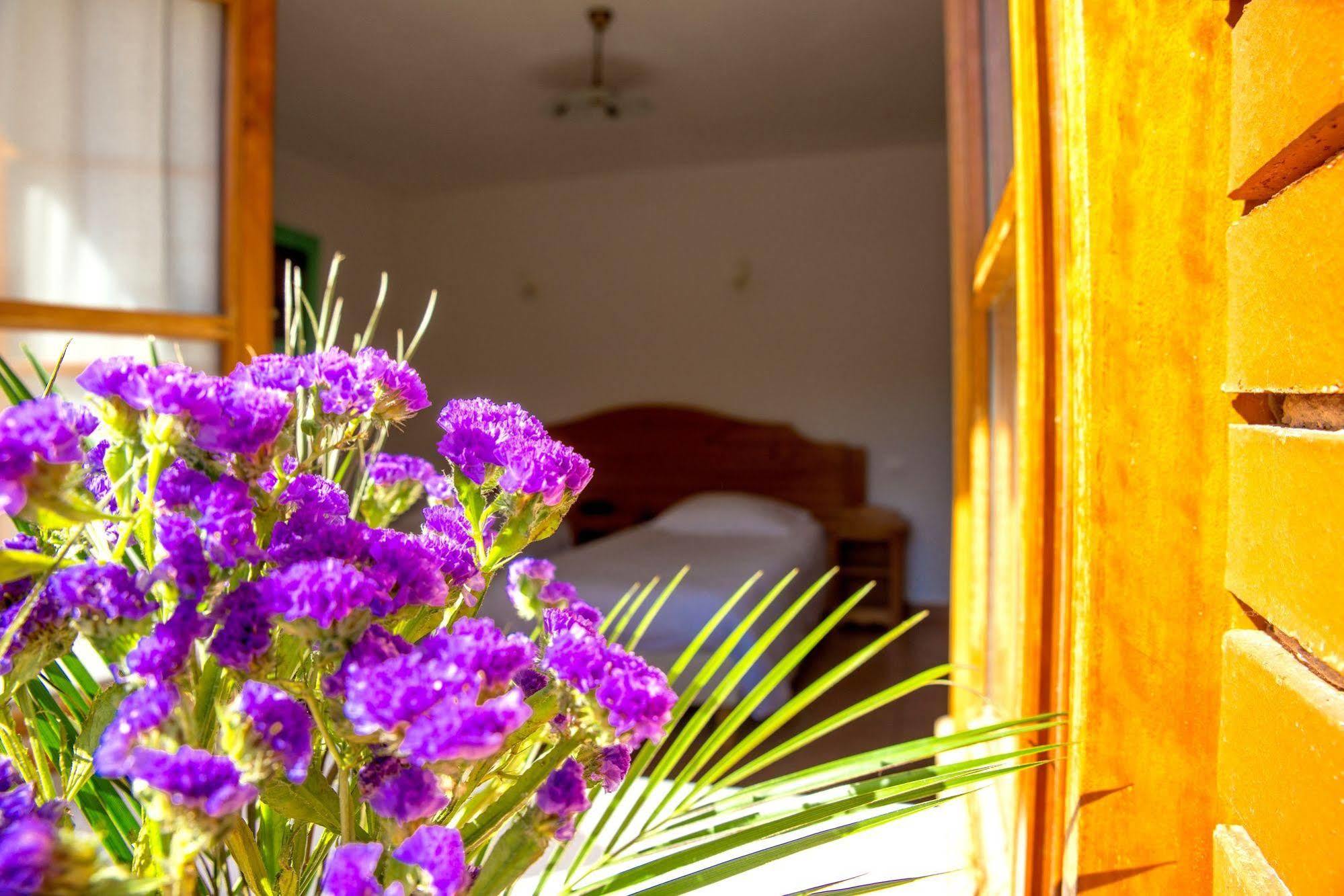 Domaine De La Plagnette Otel Les Salles Dış mekan fotoğraf